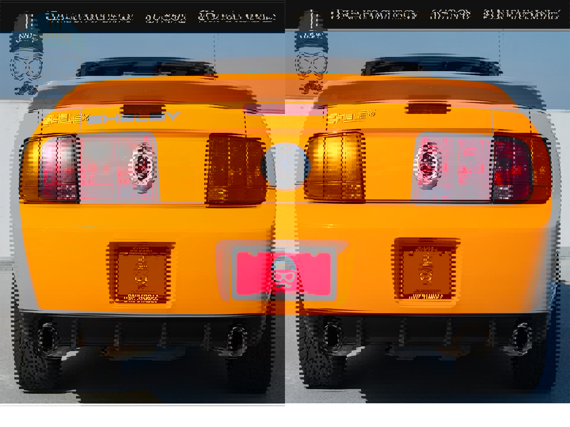 Used 2008 Ford Mustang Shelby GT500 image 22