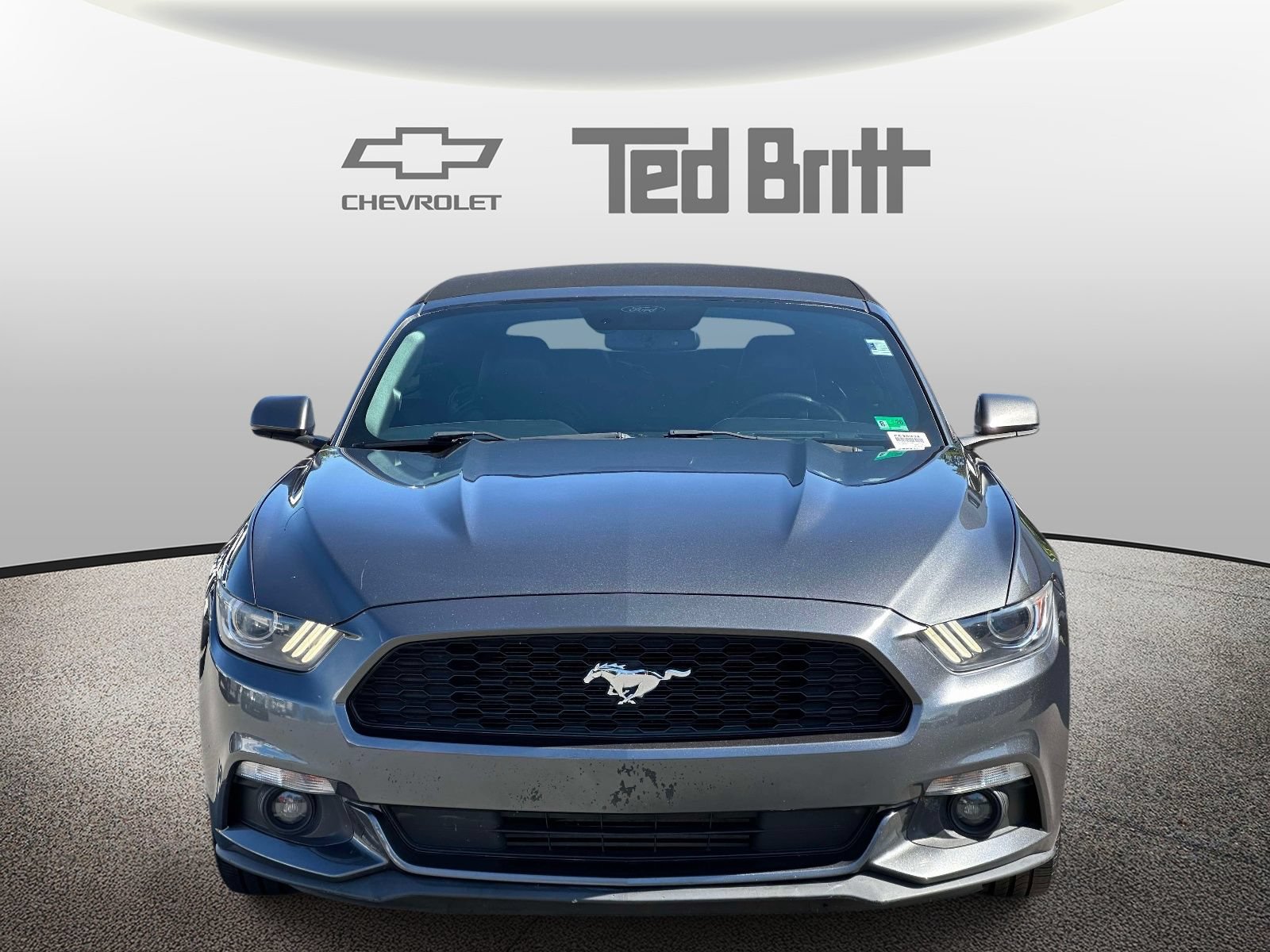 Used 2017 Ford Mustang Premium w/ Wheel & Stripe Package RWD image 2