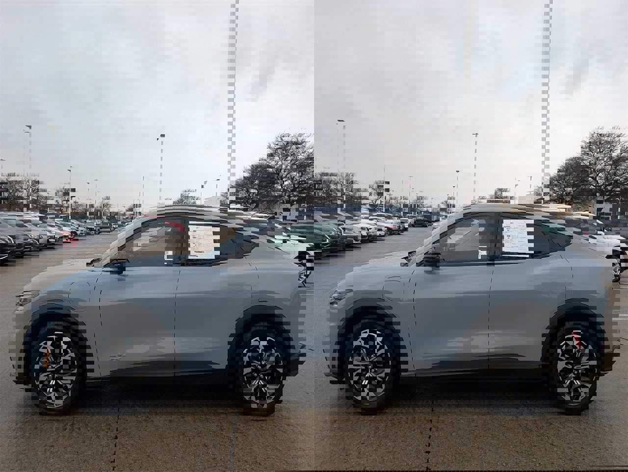 Used 2024 Ford Mustang Mach-E Select image 3