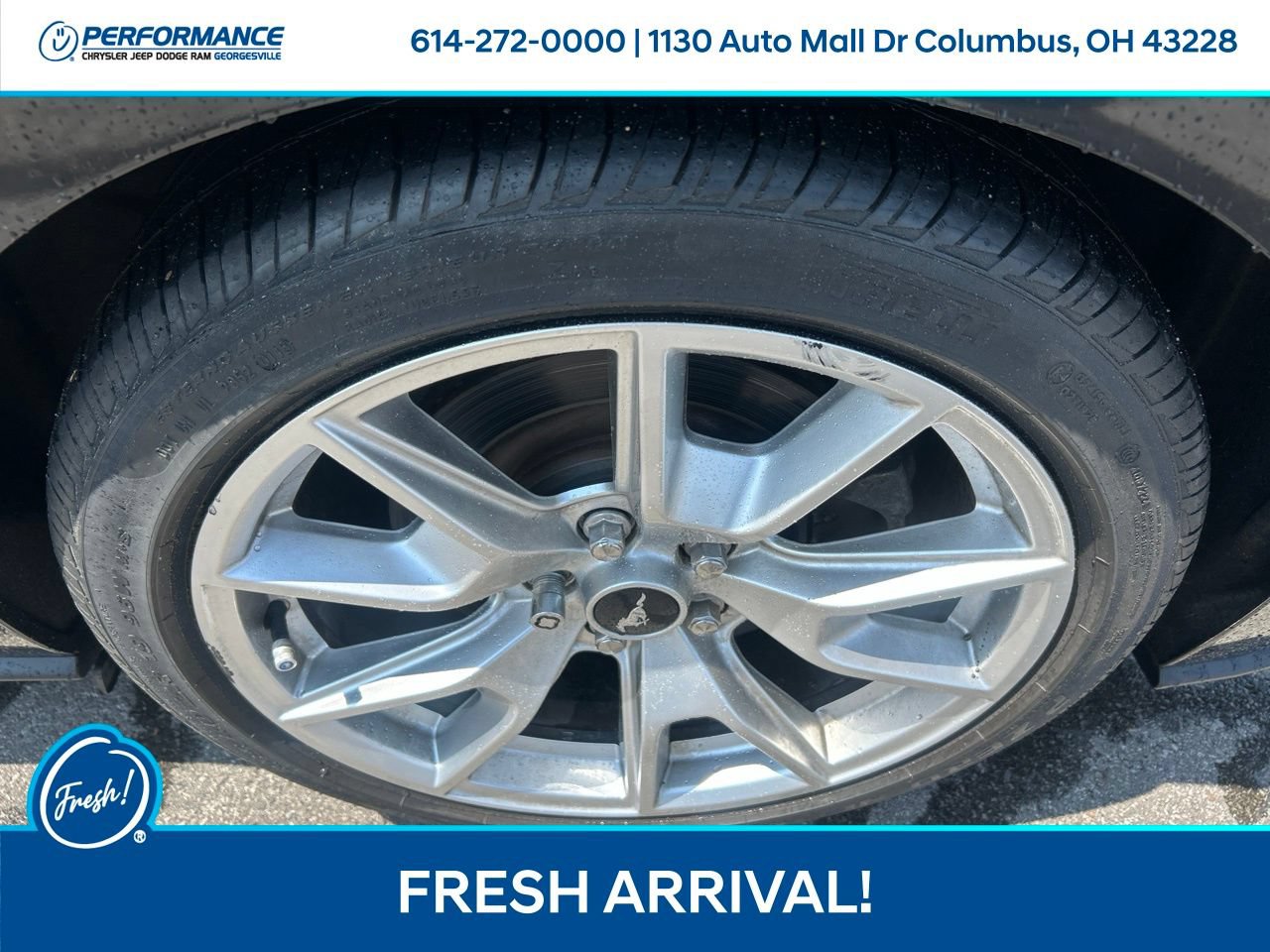 Used 2015 Ford Mustang GT Premium w/ Equipment Group 401A RWD image 11