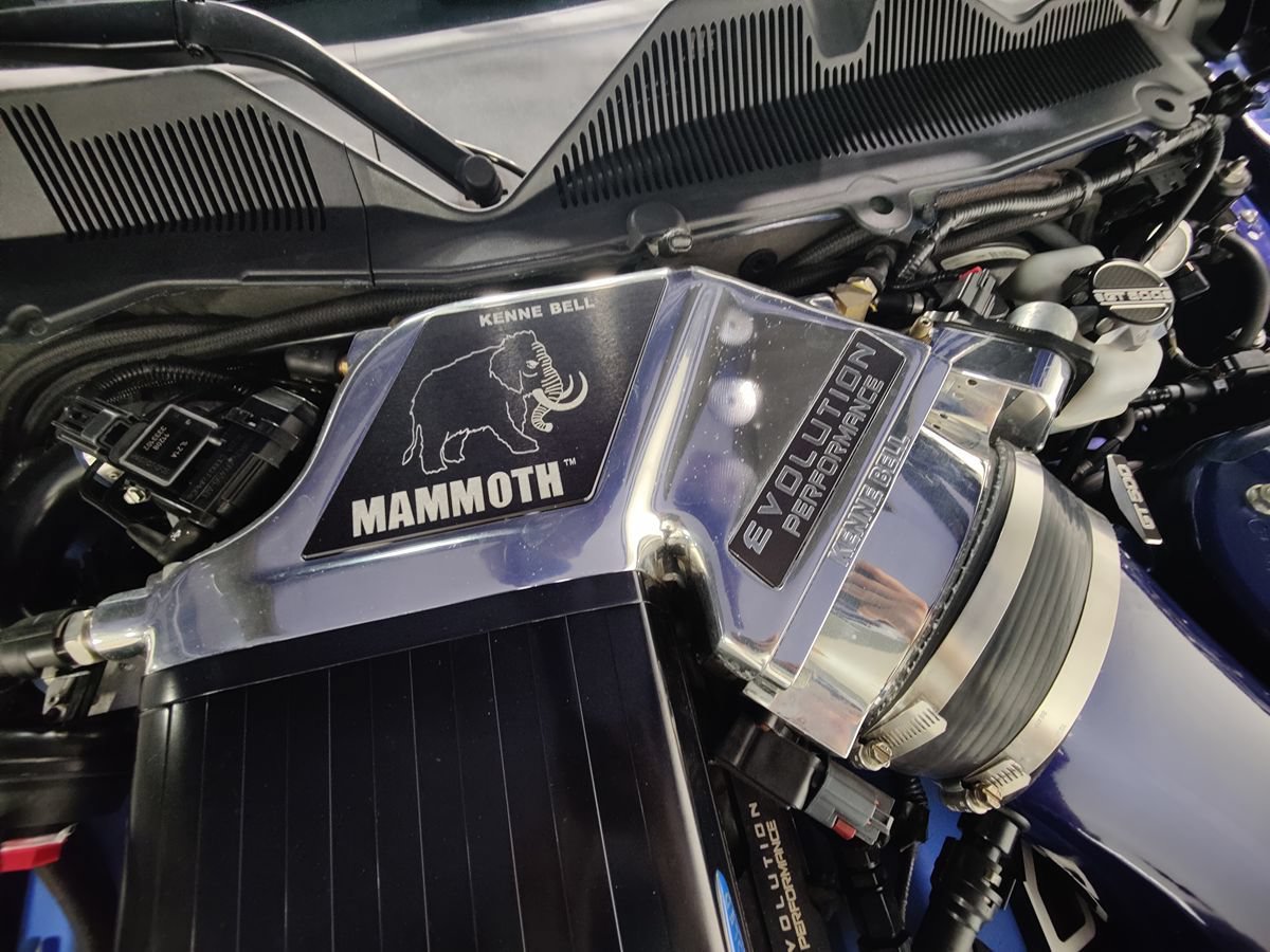 Used 2013 Ford Mustang Shelby GT500 RWD image 8