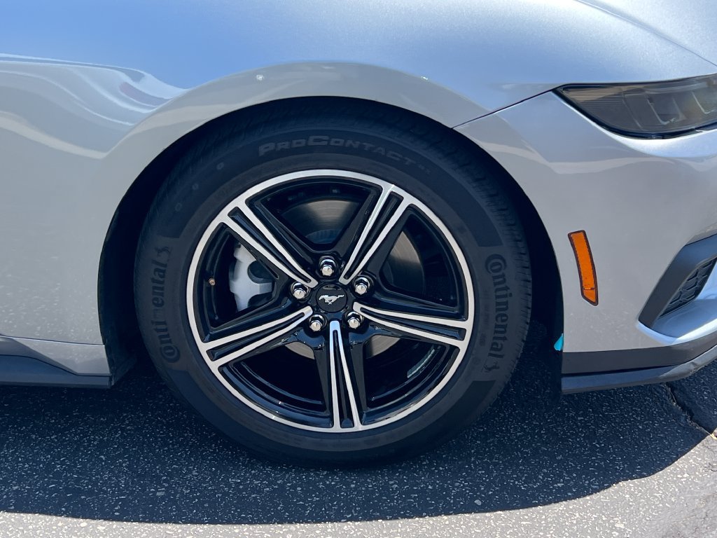 Used 2025 Ford Mustang Premium RWD image 12