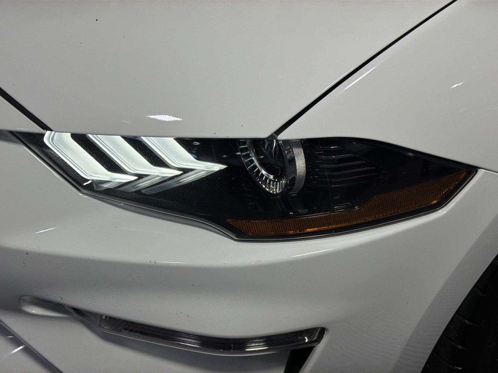 Used 2023 Ford Mustang GT Premium w/ Equipment Group 401A RWD image 13