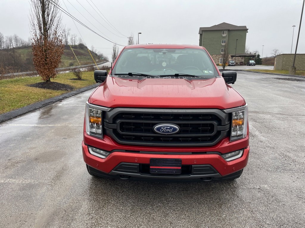 Used 2023 Ford F150 XLT w/ Equipment Group 302A High image 2