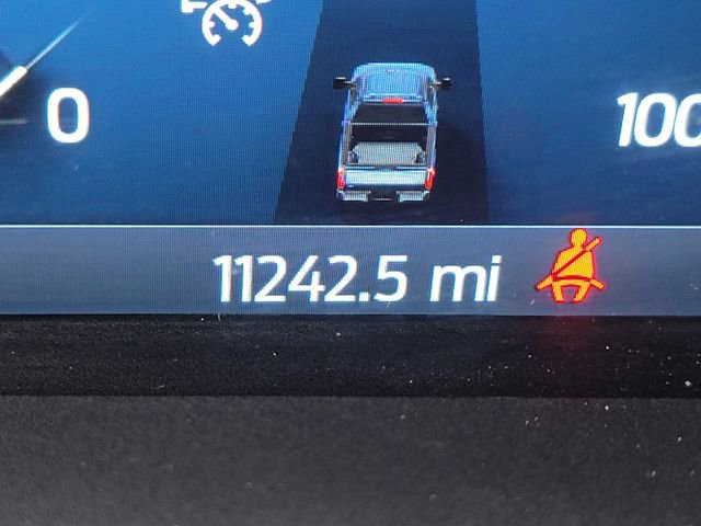 Used 2025 Ford F350 Platinum w/ Tremor Off-Road Package image 4