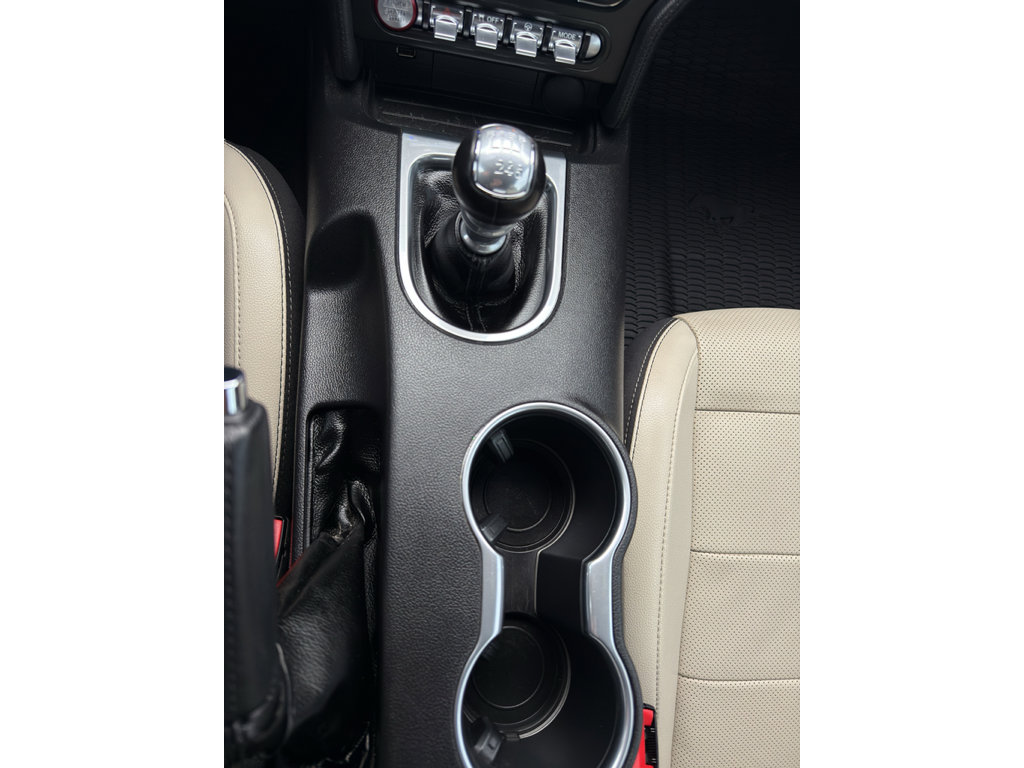 Used 2019 Ford Mustang Premium RWD image 21