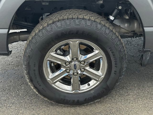 Used 2025 Ford F150 XLT w/ Equipment Group 301A Standard image 12