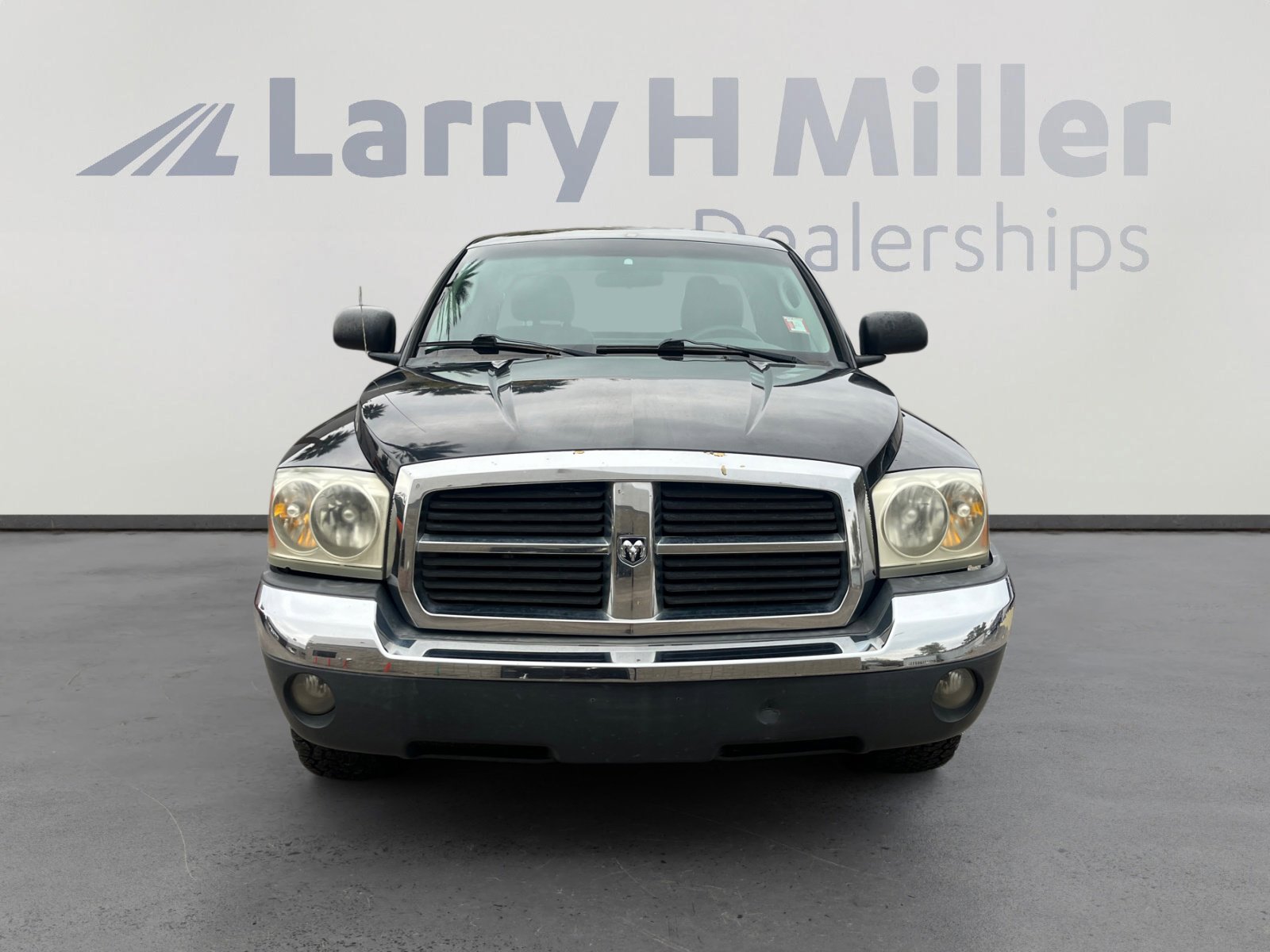 Used 2005 Dodge Dakota SLT image 8