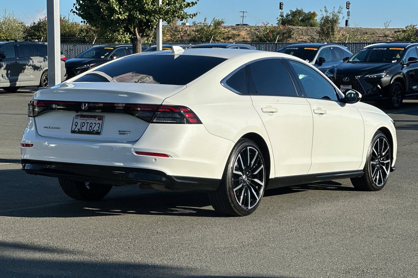 Used 2024 Honda Accord Touring image 4
