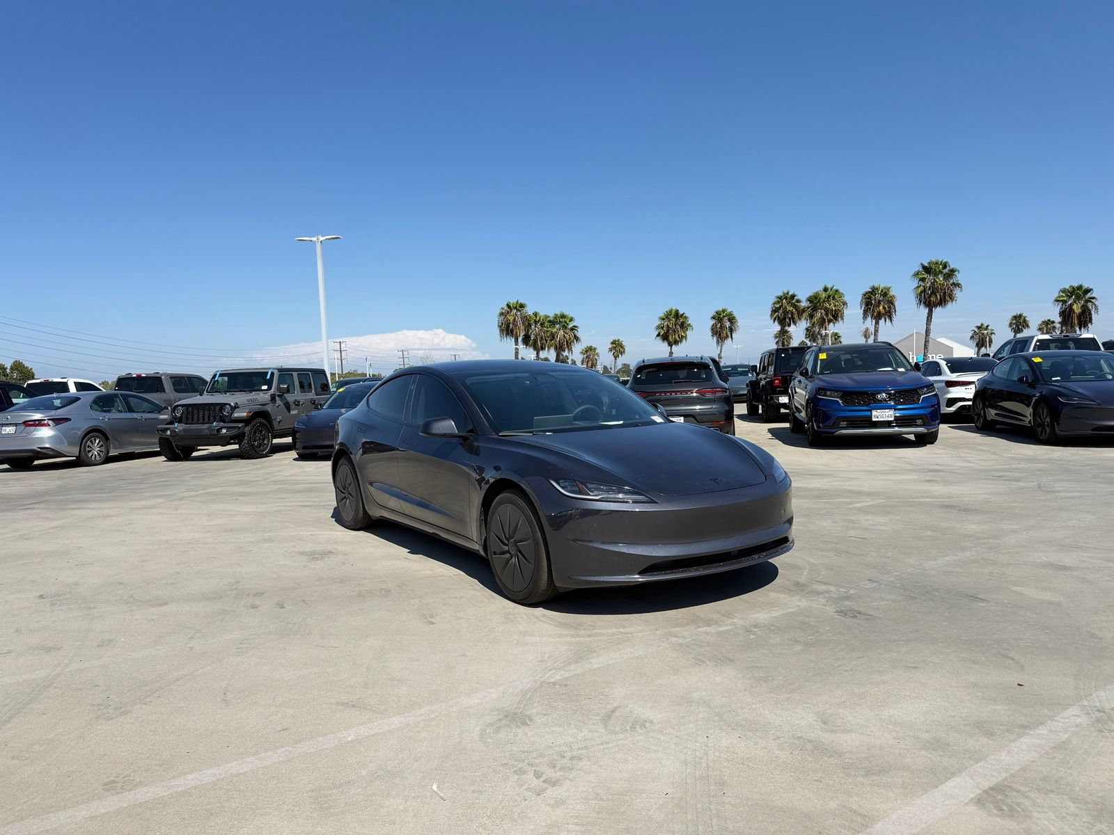 Used 2025 Tesla Model 3 Long Range RWD image 4