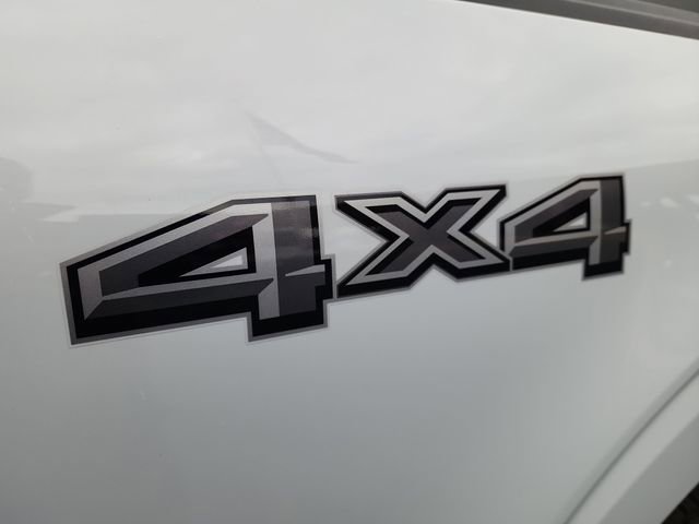 Used 2025 Ford F150 XLT w/ Equipment Group 301A Standard image 39