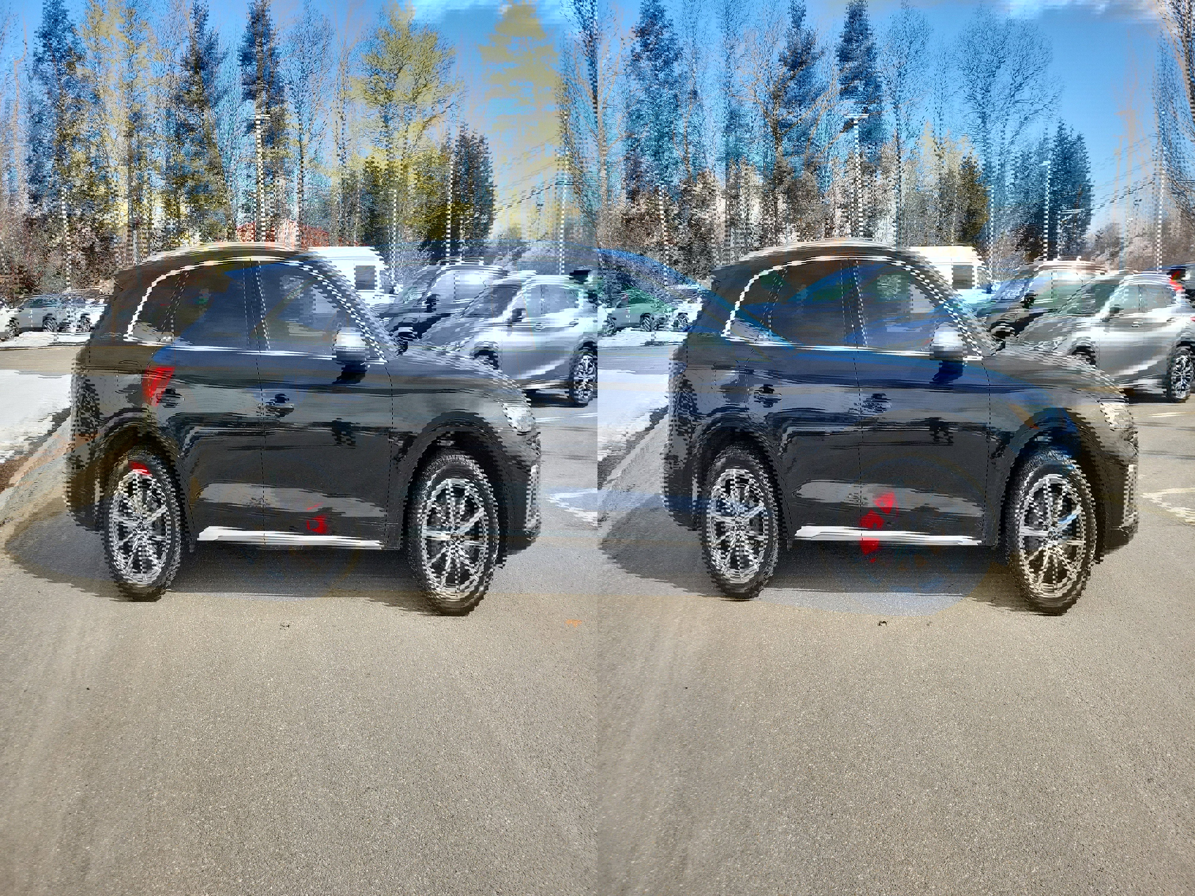 Used 2025 Audi SQ5 Premium Plus image 8