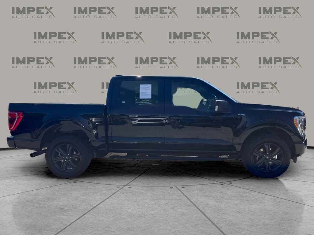 Used 2023 Ford F150 XLT w/ Equipment Group 302A High AWD/4WD image 6