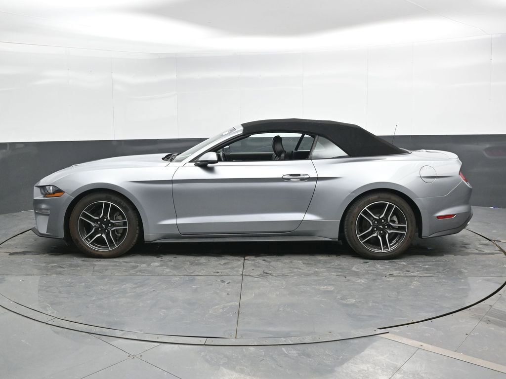 Used 2023 Ford Mustang Premium image 10