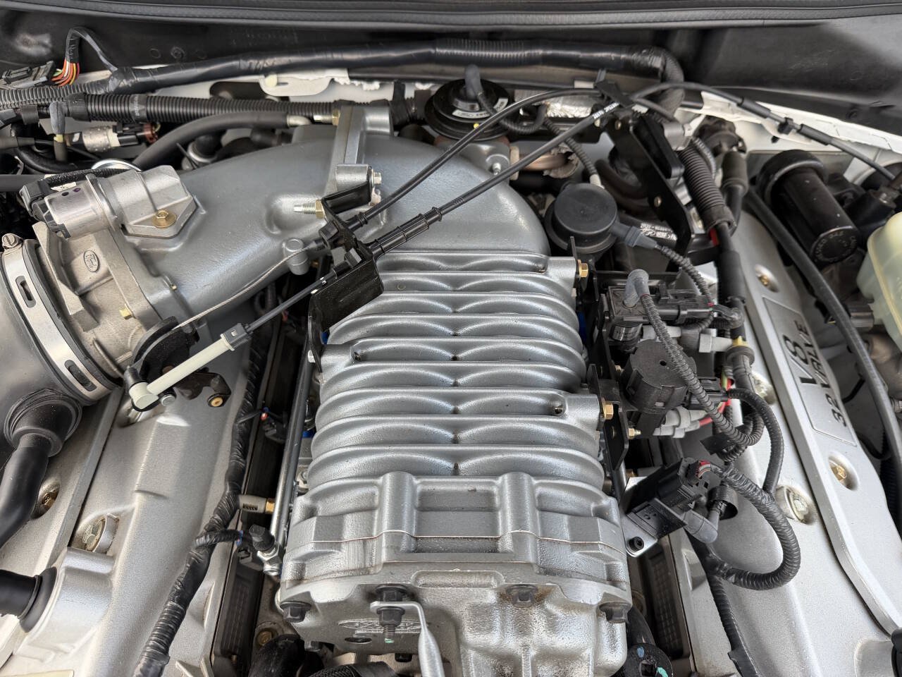 Used 2003 Ford Mustang Cobra RWD image 25