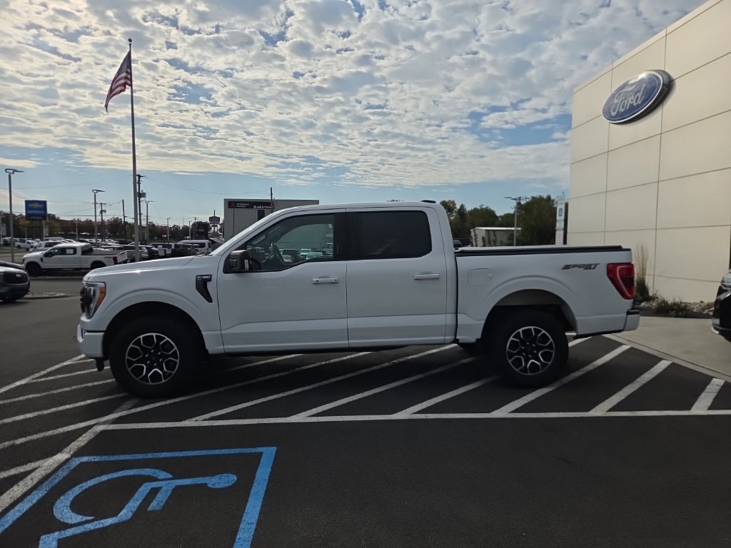 Used 2022 Ford F150 XLT w/ Equipment Group 302A High AWD/4WD image 4
