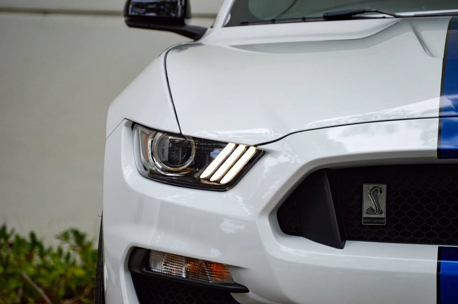 Used 2018 Ford Mustang Shelby GT350 w/ Convenience Package RWD image 26