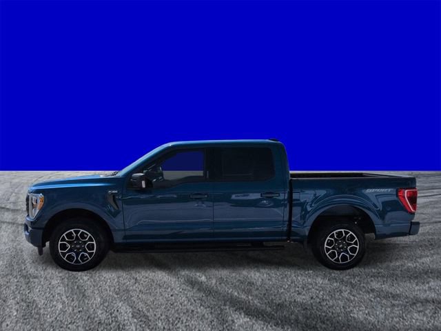 Certified 2023 Ford F150 XLT w/ Equipment Group 302A High RWD image 7