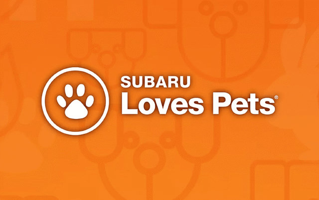 Used 2021 Kia Sportage EX w/ EX Technology Package AWD/4WD image 6