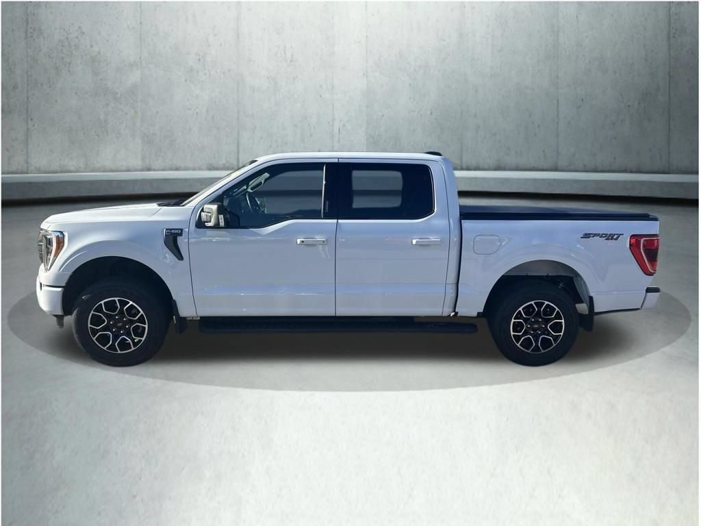 Used 2023 Ford F150 XLT w/ Equipment Group 302A High AWD/4WD video 2