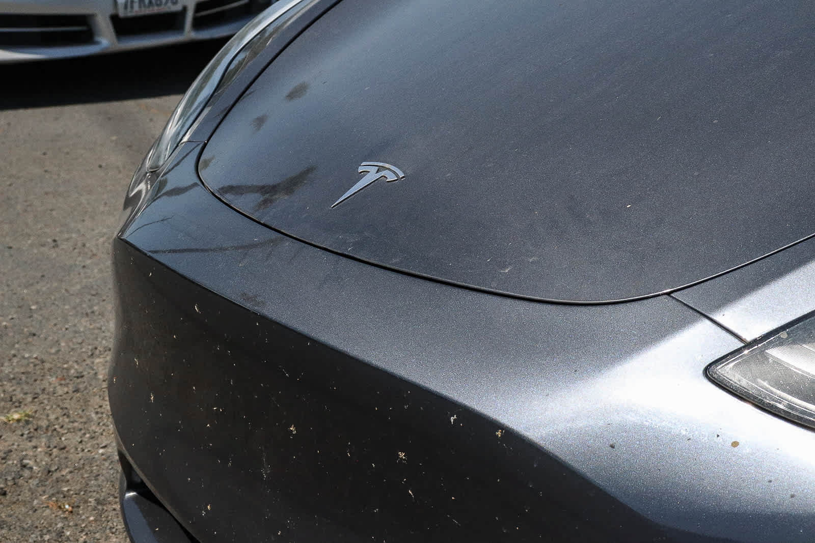 Used 2023 Tesla Model Y 2WD image 3
