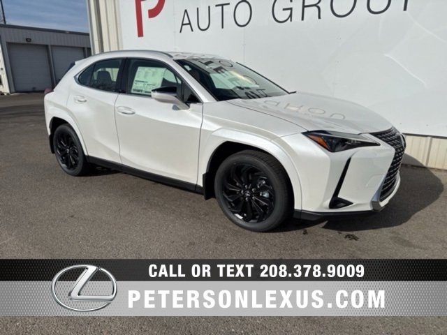 New 2025 Lexus UX 300h AWD image 1