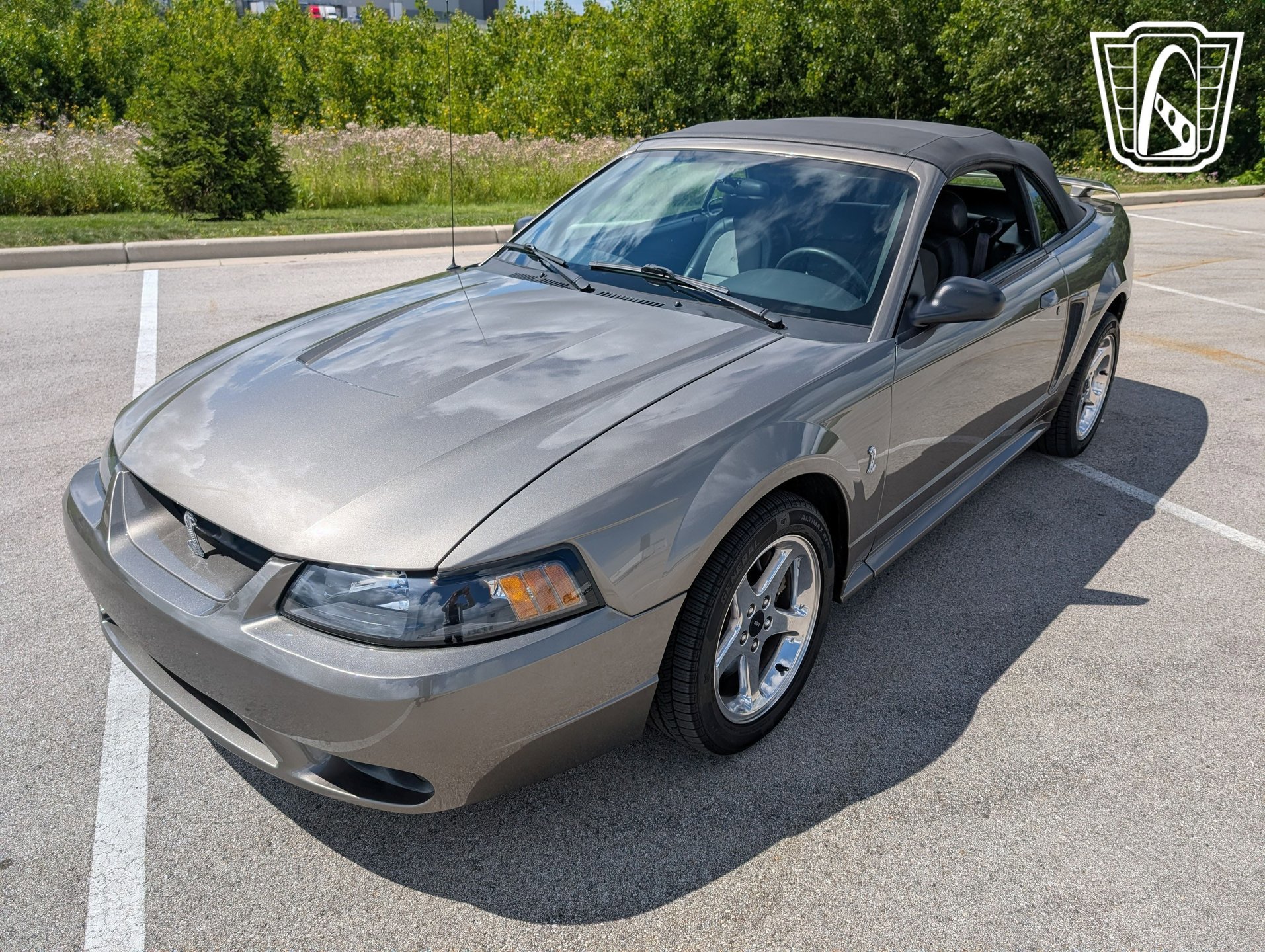 Used 2001 Ford Mustang Cobra image 2