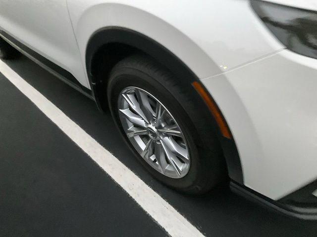 Used 2025 Honda CR-V EX image 3
