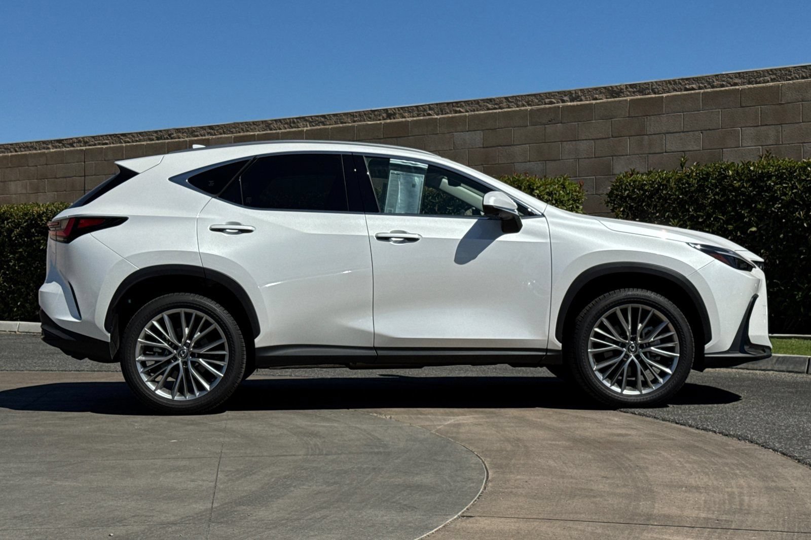 Certified 2025 Lexus NX 350h AWD w/ Cold Area Package image 3