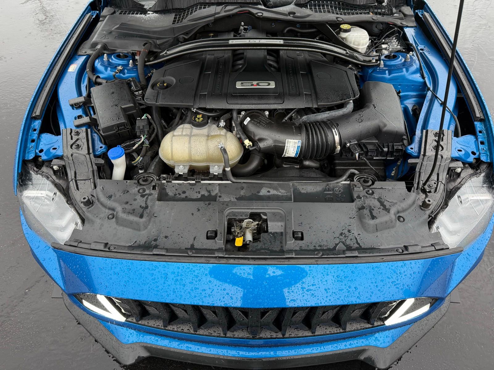 Used 2021 Ford Mustang GT w/ GT Performance Package image 32