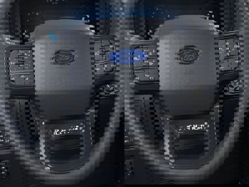 New 2025 Ford F150 Platinum w/ Equipment Group 702A High image 14