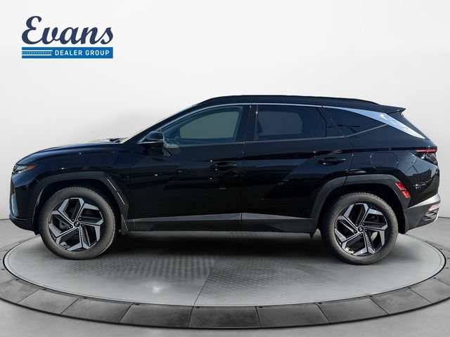 Used 2022 Hyundai Tucson Limited AWD/4WD image 3
