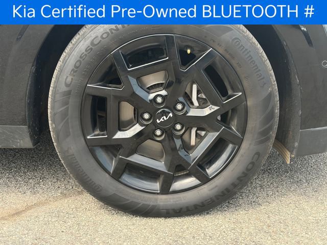 Certified 2025 Kia Carnival SX Prestige image 2