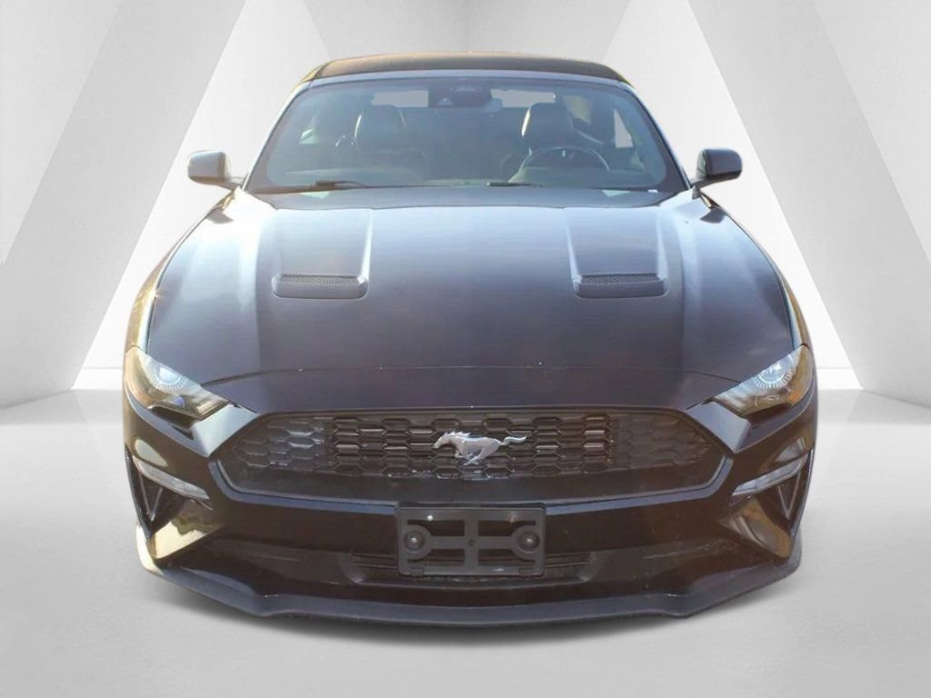 Used 2023 Ford Mustang Premium image 2