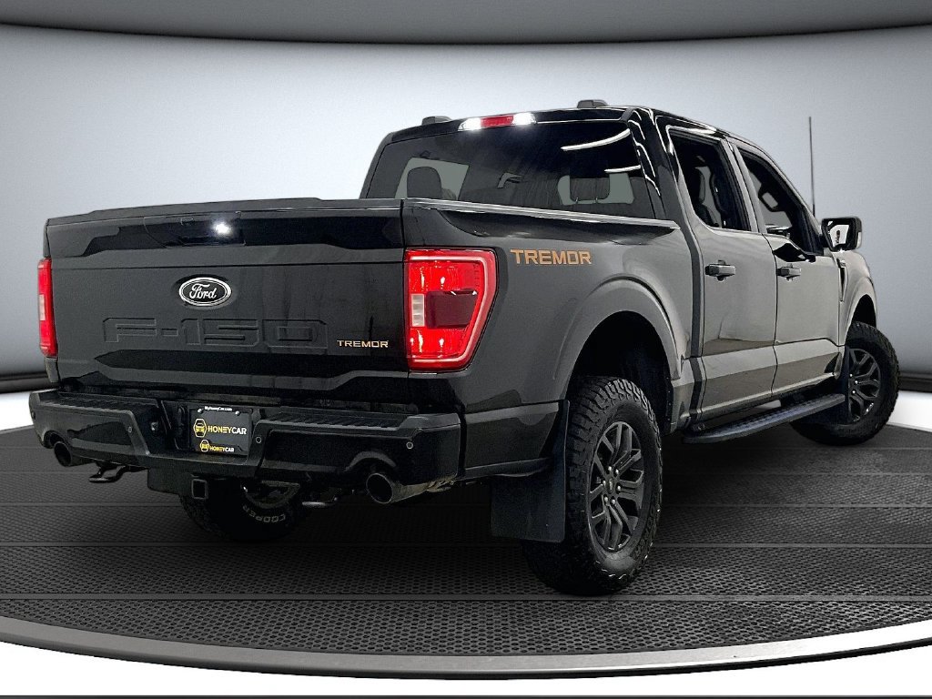 Used 2023 Ford F150 Tremor AWD/4WD image 6