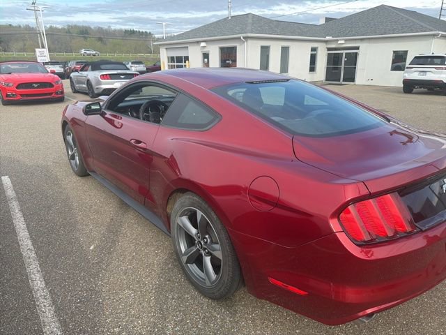 Used 2016 Ford Mustang Coupe w/ Equipment Group 051A image 7