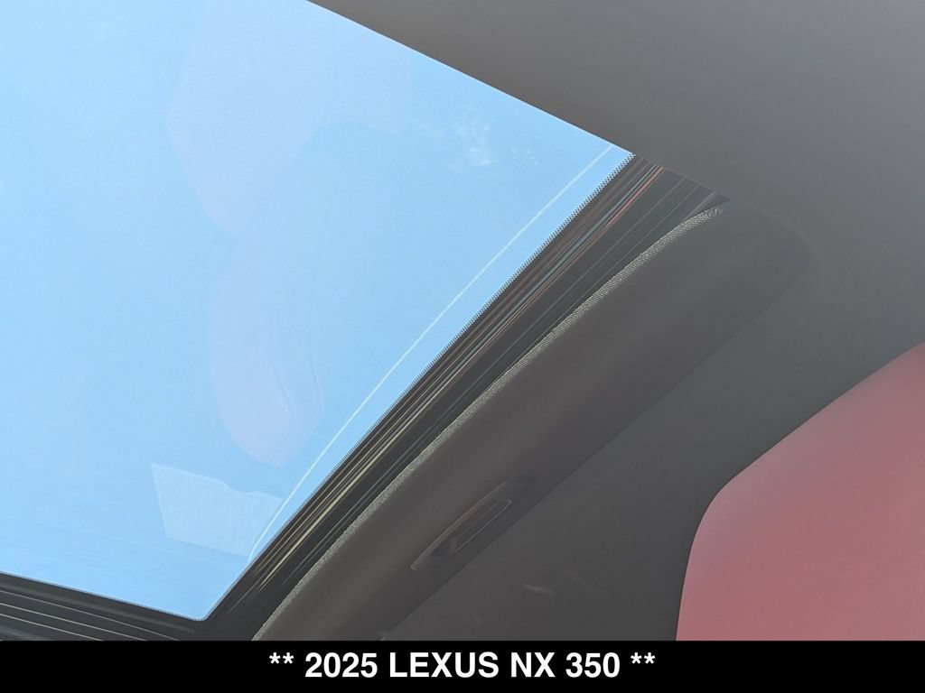 Used 2025 Lexus NX 350 AWD w/ Cold Area Package image 4
