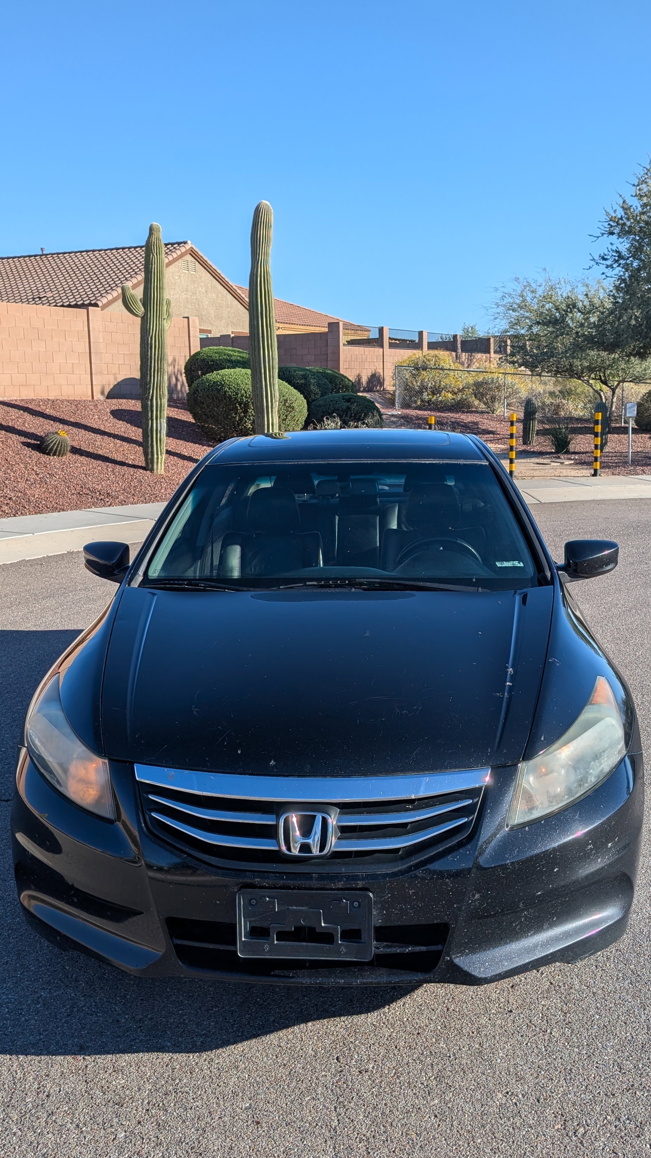 Used 2011 Honda Accord EX-L image 6
