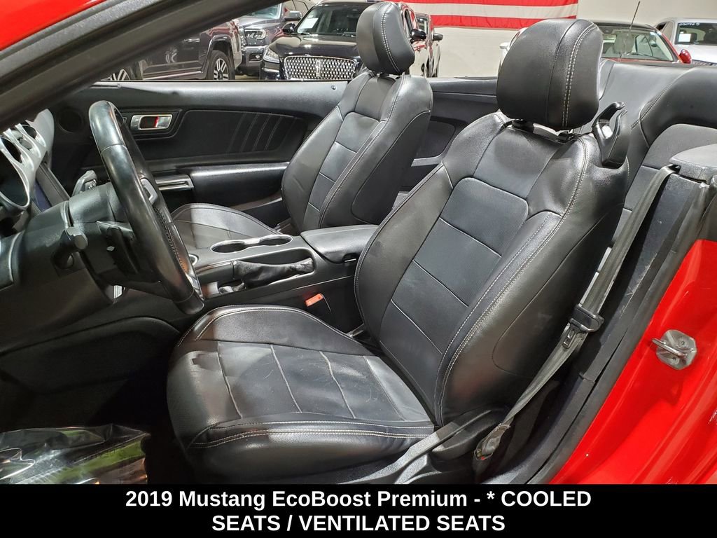 Used 2019 Ford Mustang Premium image 6