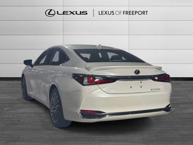 Used 2025 Lexus ES 300h w/ Technology Package FWD image 6