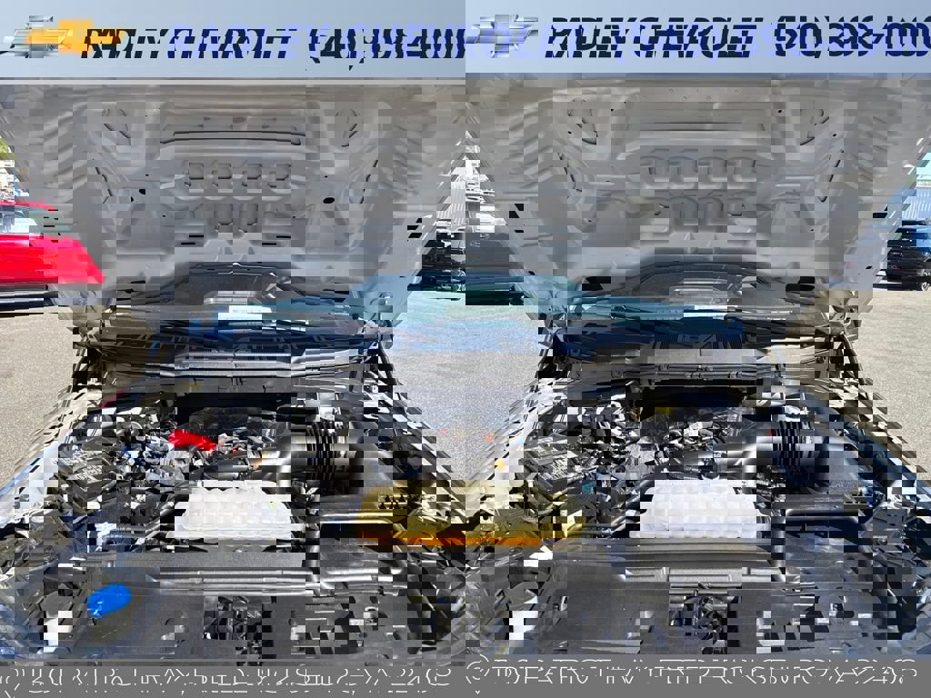 Used 2025 Ford F150 XLT w/ Equipment Group 301A Standard image 14