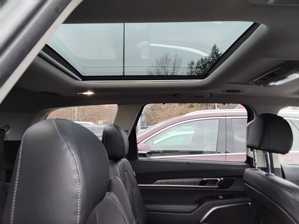 Used 2023 Kia Telluride SX image 12