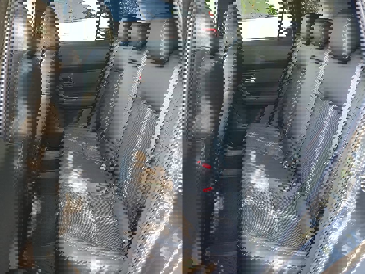 New 2025 MAZDA CX-50 AWD 2.5 S w/ Weather Package image 12