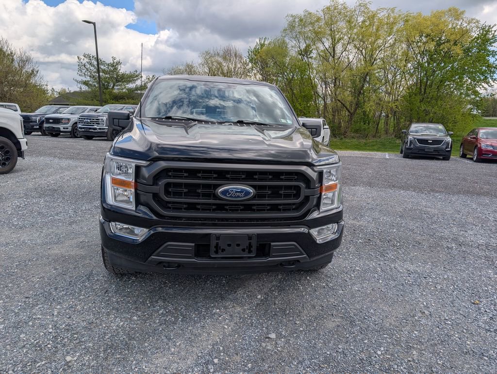 Used 2022 Ford F150 XLT w/ Equipment Group 301A Mid AWD/4WD image 10