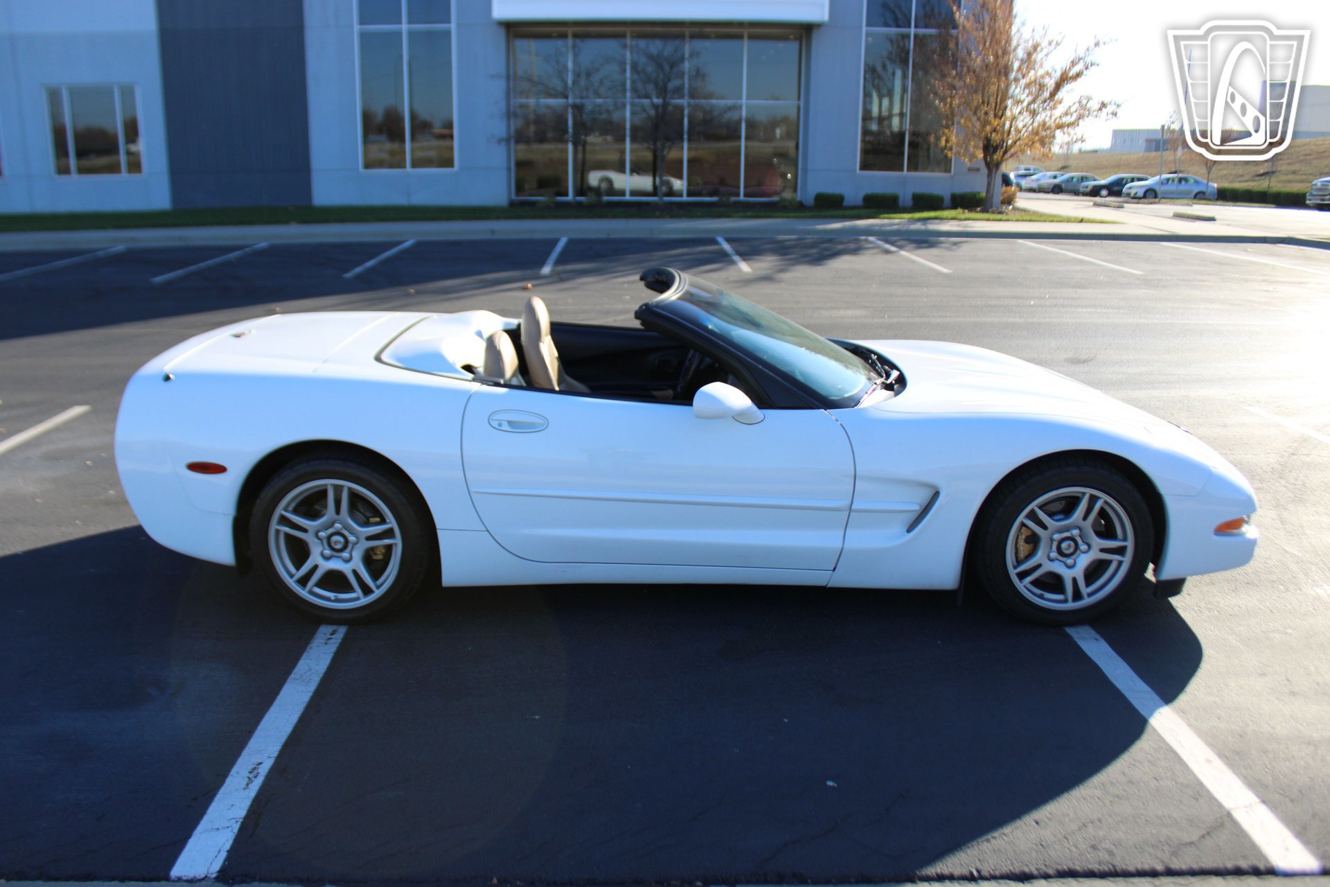 Used 1998 Chevrolet Corvette Convertible image 6