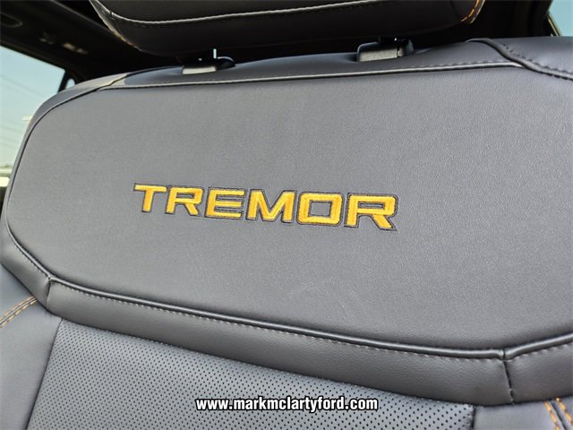 New 2025 Ford Expedition Tremor image 7