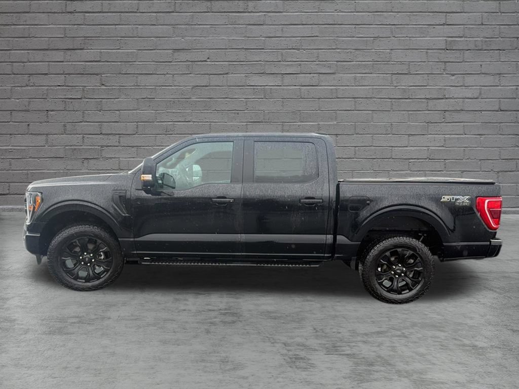 Used 2023 Ford F150 XL w/ STX Black Appearance Package AWD/4WD image 4