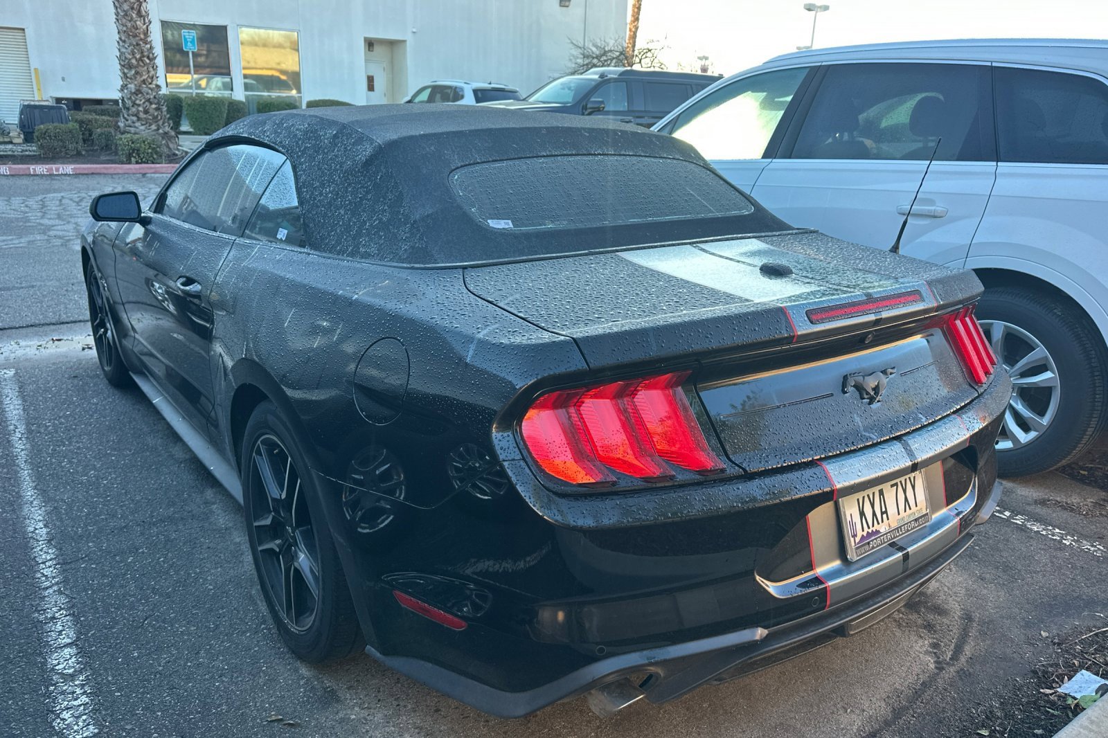 Used 2022 Ford Mustang Convertible w/ Equipment Group 101A image 3