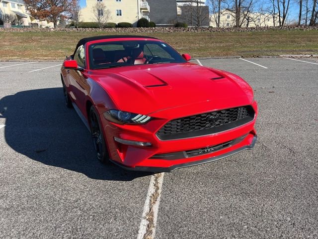 Certified 2019 Ford Mustang Premium w/ Equipment Group 201A