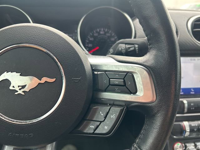 Used 2022 Ford Mustang Coupe w/ Equipment Group 101A image 13